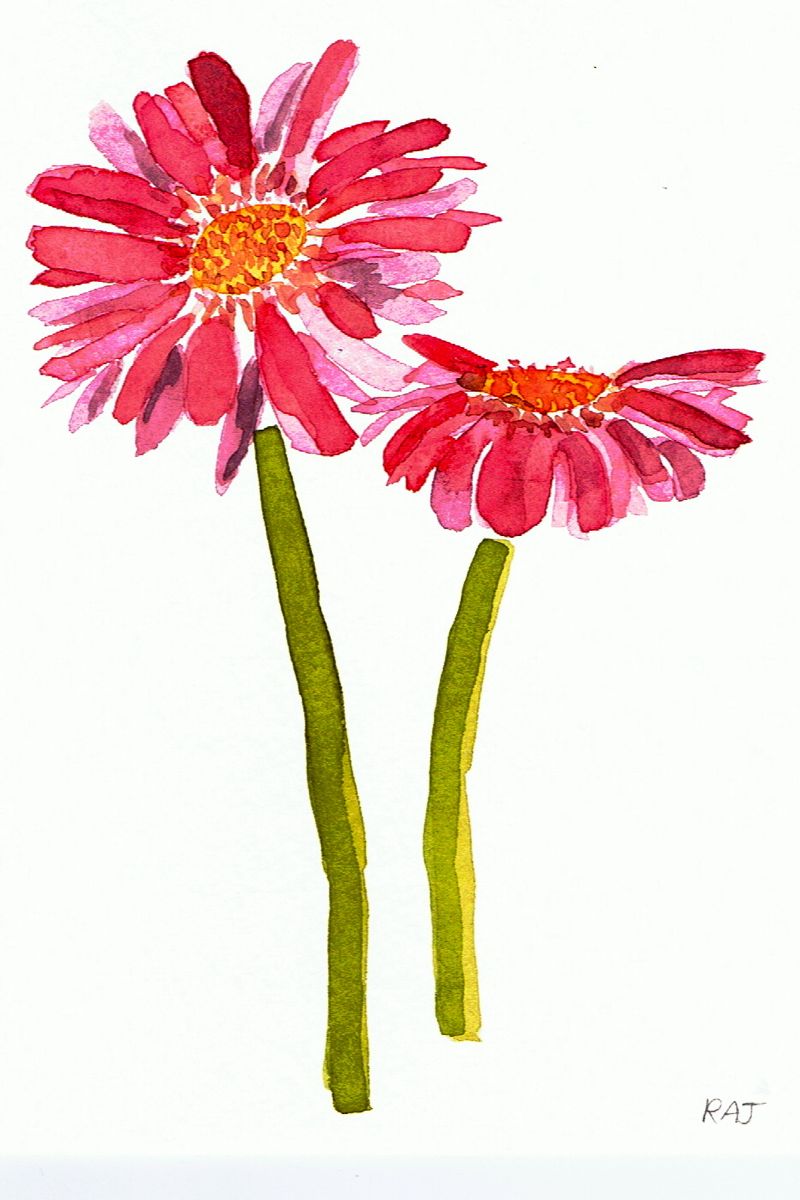 Daisies, a watercolor by Rebecca Jackson