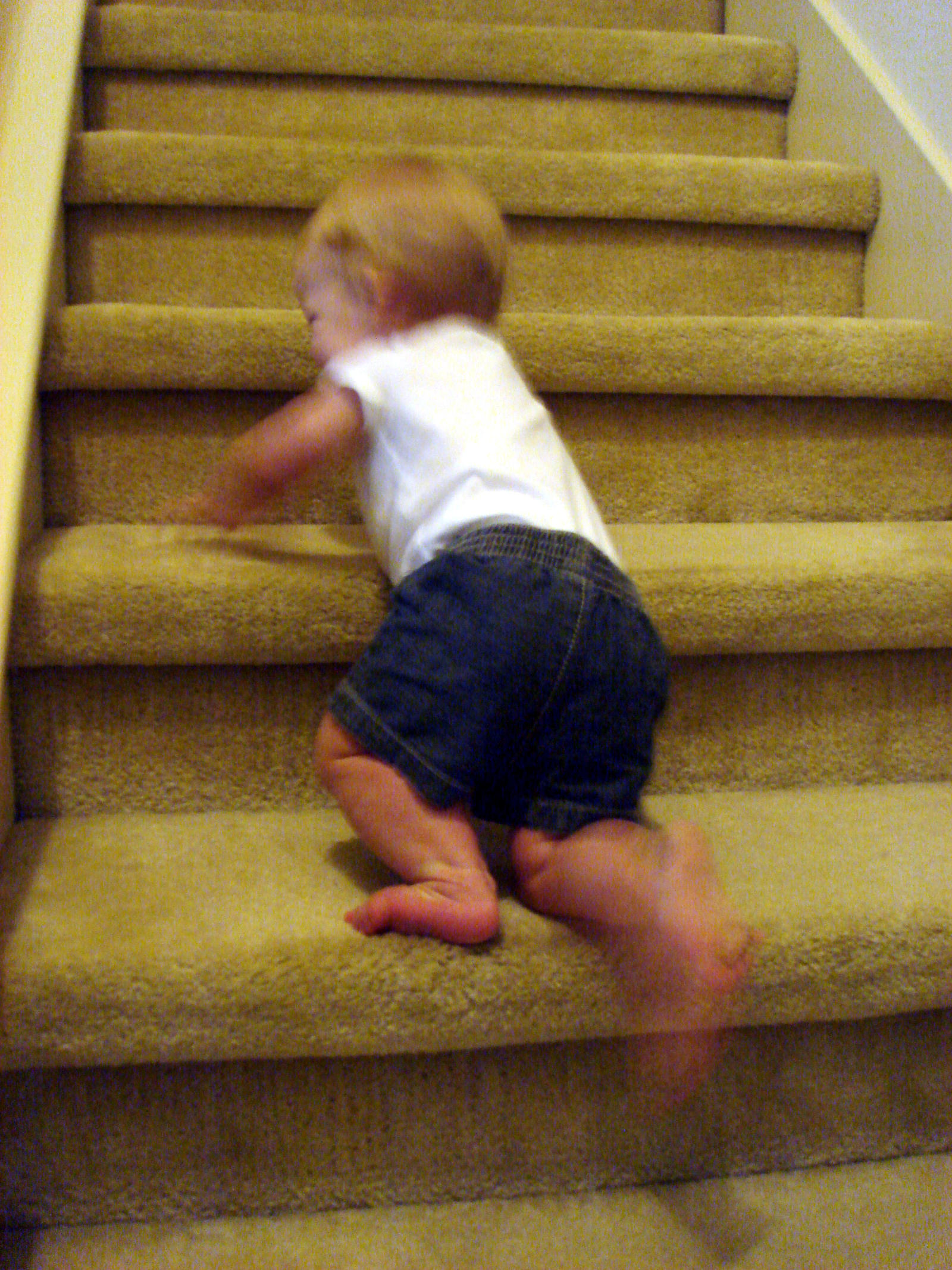 Emily climbing the stairs