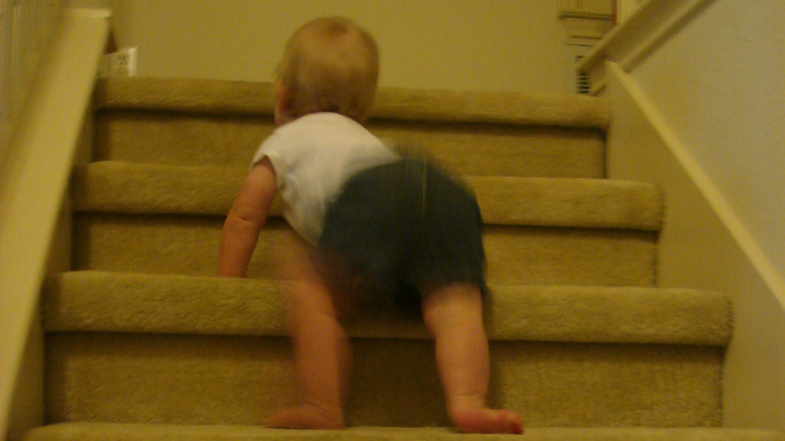 Emily climbing the stairs