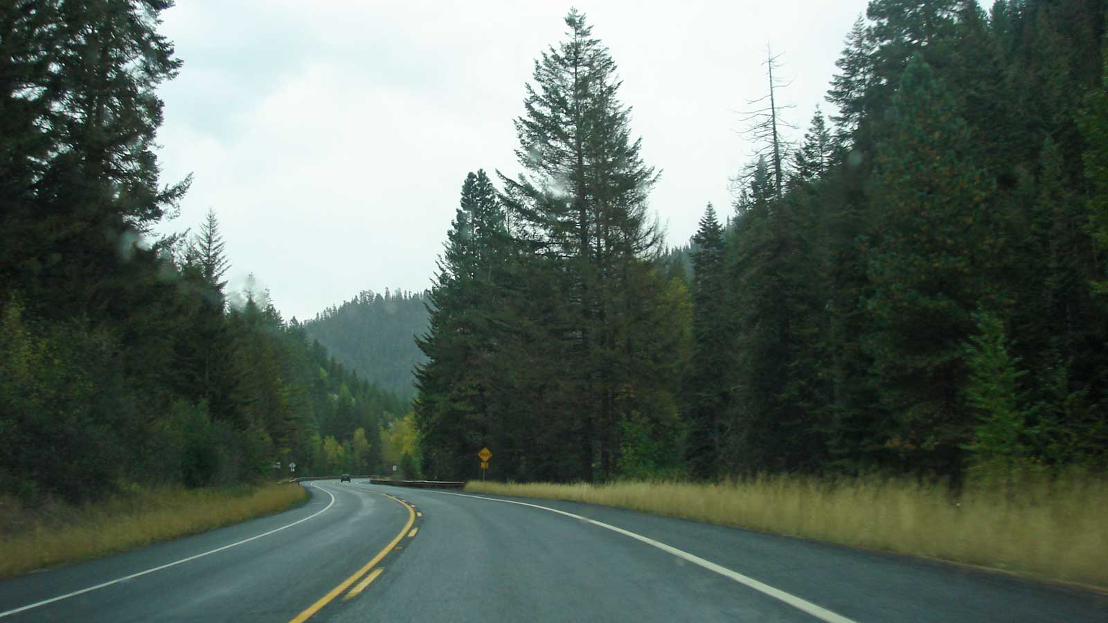The road ahead, wet with rain and surrounded by forest