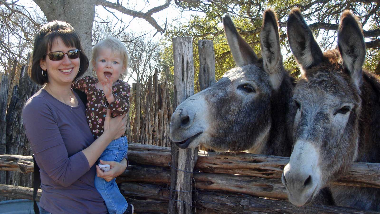 Emily and donkeys