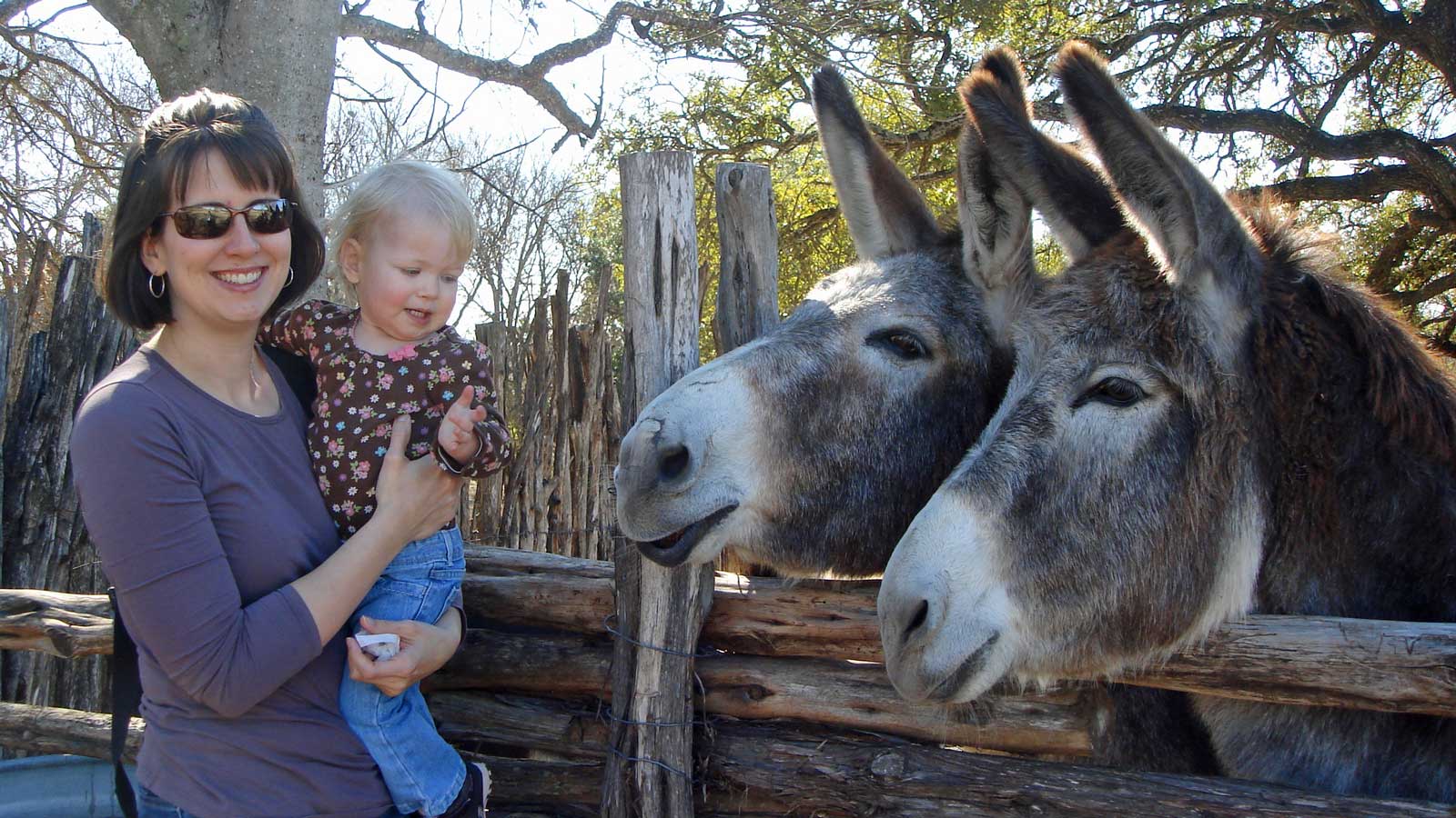 Emily and donkeys